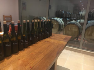 Dégustation millésime 2016 grands vins de Bourgogne Madame veuve point 1