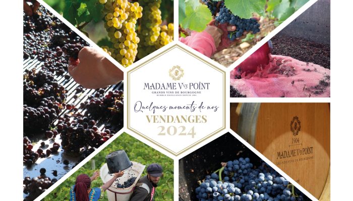 LES VENDANGES 2024 CHEZ MADAME VEUVE POINT : UNE ANNEE UNIQUE !